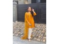 923493000660-young-luxury-models-hostel-girls-available-in-islamabad-small-0